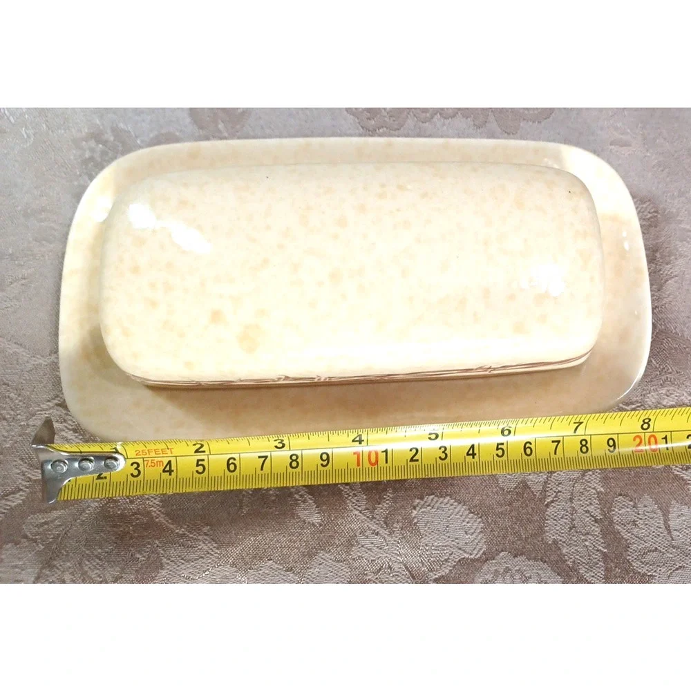 Cowboy Living Barbwire Covered Butter Dish w Lid Eve Armson 8x4 Western *READ